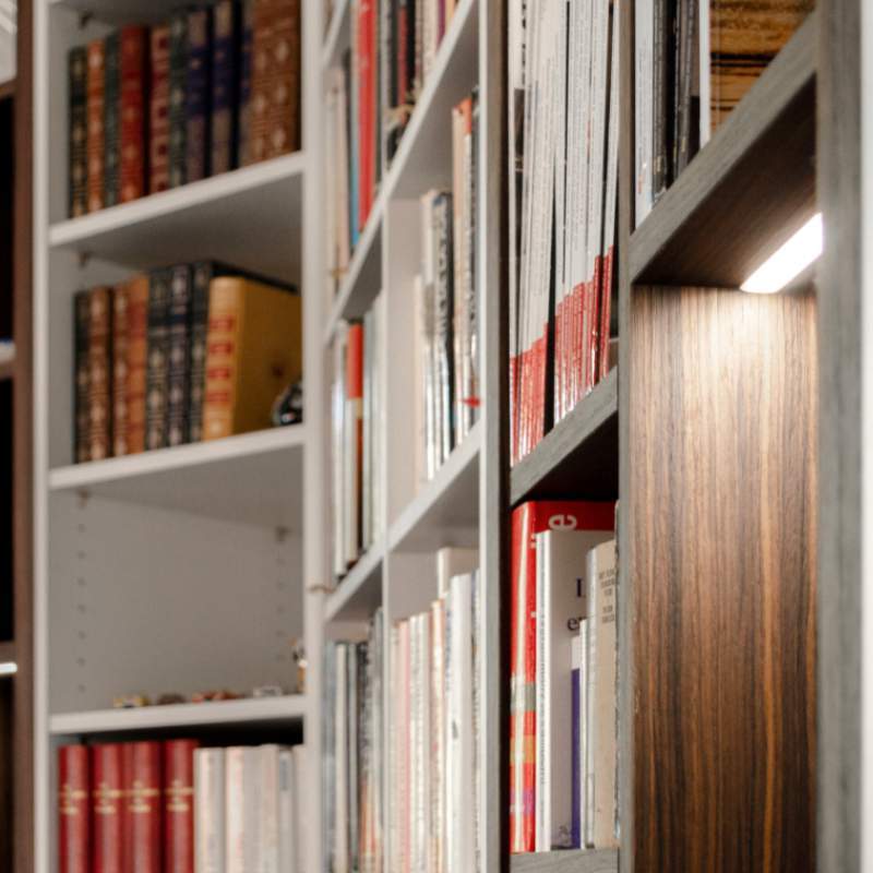 Illustration article La bibliothèque Claustra Kassic